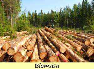 para que sirve la biomasa, que es y como funciona